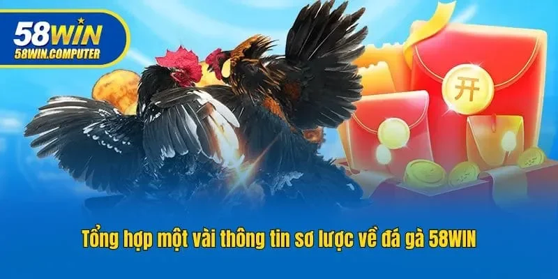 Tổng hợp một vài thông tin sơ lược về đá gà 58win